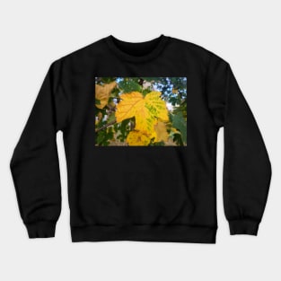 Autumn Yellow Leaf Crewneck Sweatshirt